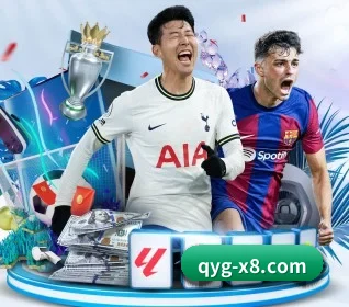 五大服务分区,信息按项目分类